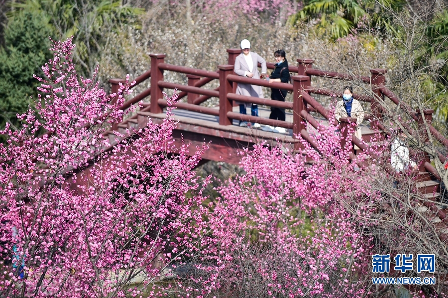 洛陽：春日遊園賞花正當時