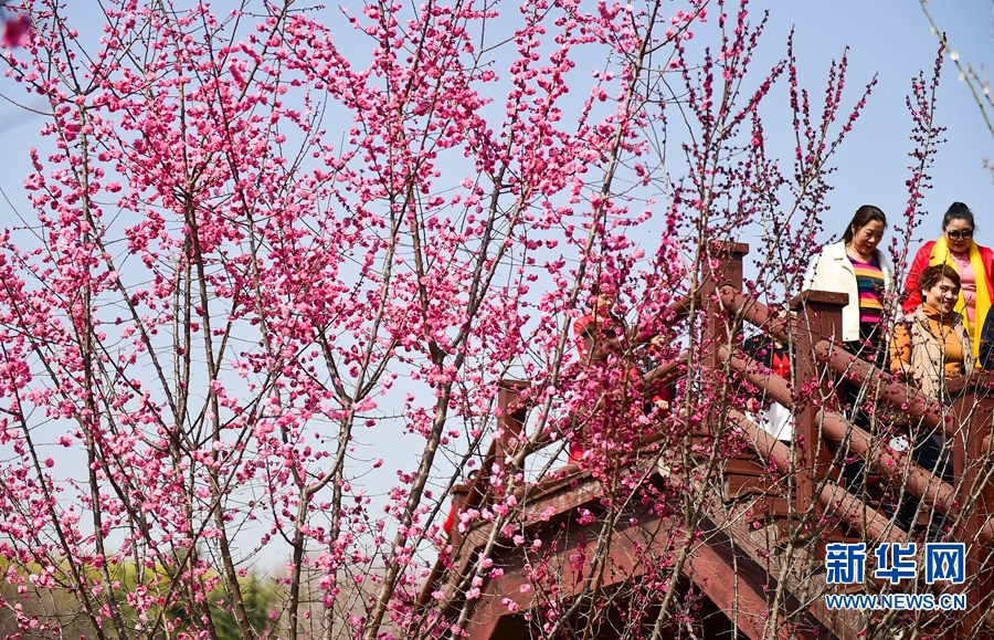 洛陽：春日遊園賞花正當時