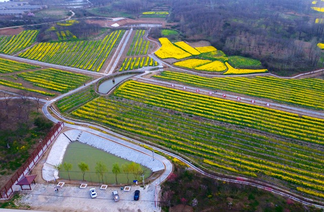 信陽：鄉村振興先行區的“羅山實踐”