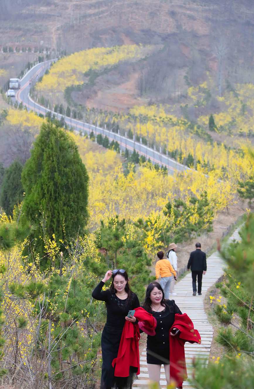 三門峽盧氏：花開春意濃 鄉村入畫來