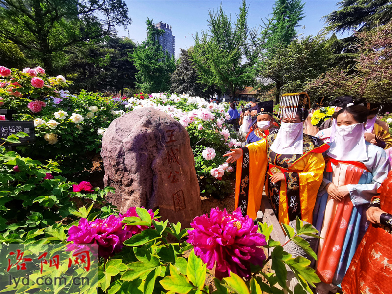 “武皇”賞花巡遊在洛陽王城公園上演