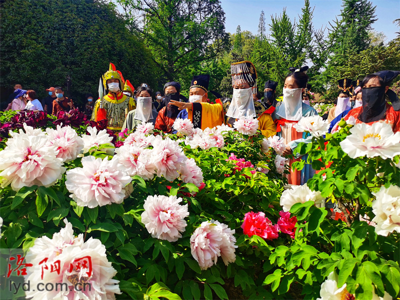 “武皇”賞花巡遊在洛陽王城公園上演