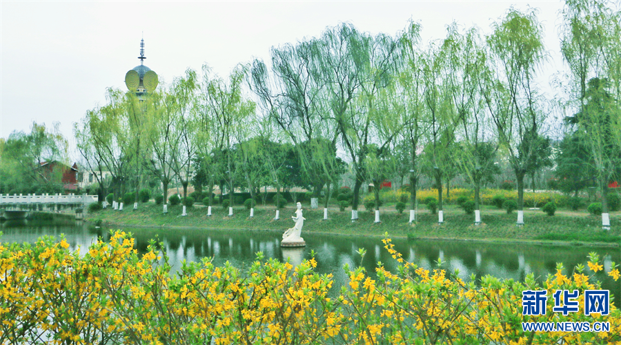 商丘柘城：小城三月春意濃 花紅柳綠醉遊人