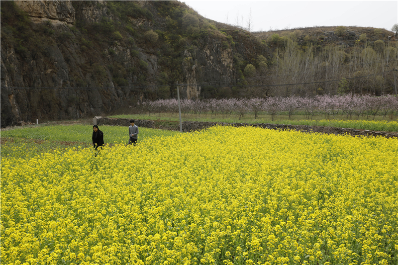 平頂山寶豐：山鄉田園春景如畫_fororder_1.JPG