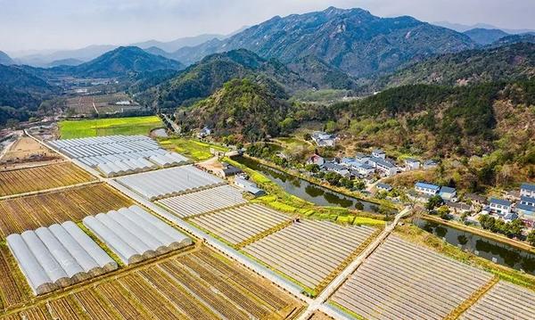 信陽羅山：紅色旅遊線路 串起美麗風景