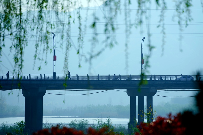 河南汝陽：繁花似錦滿眼春