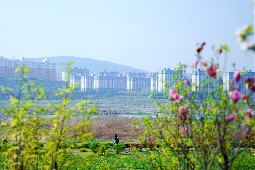 河南汝陽：繁花似錦滿眼春