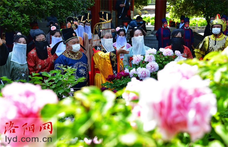 “武皇”賞花巡遊在洛陽王城公園上演