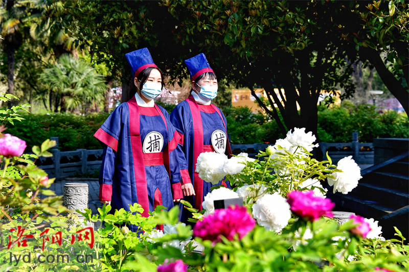 “武皇”賞花巡遊在洛陽王城公園上演