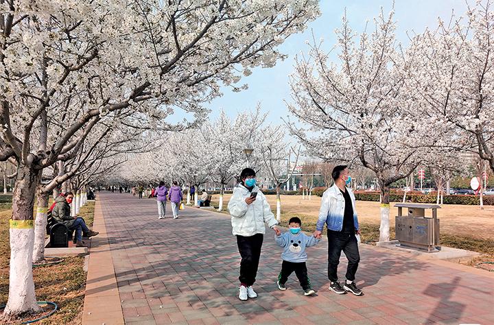 河南濟源：以花為媒 城鄉顏值變産值