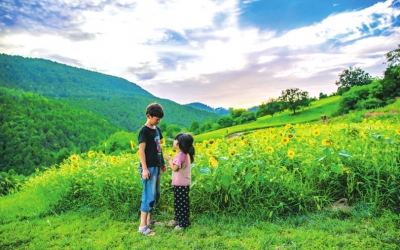 【城市遠洋 小圖】【熱點線路】洛陽洛寧正式發佈4條暑期自駕旅遊線路