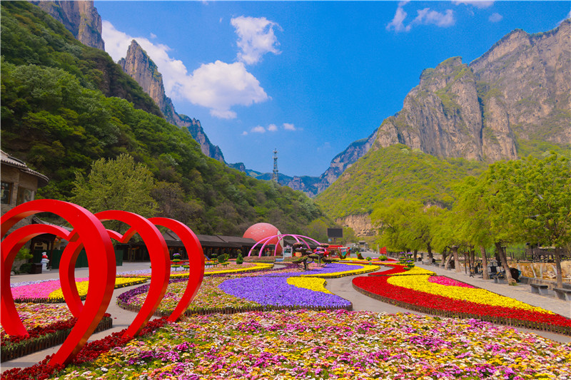 雲臺山景區重開園 萬畝花海盛放迎賓_fororder_微信圖片_20220425104600