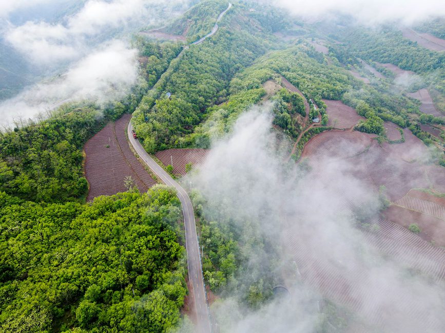 三門峽盧氏：雨後山村入畫來