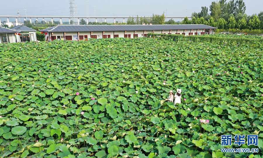 【城市遠洋】河南寶豐：改善水源環境 打造生態家園