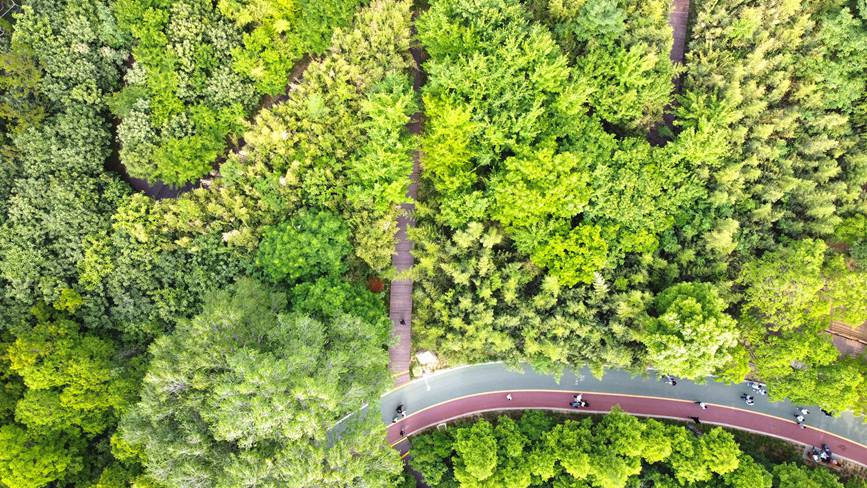 河南洛陽：厚植生態底色 樂享城市遊園