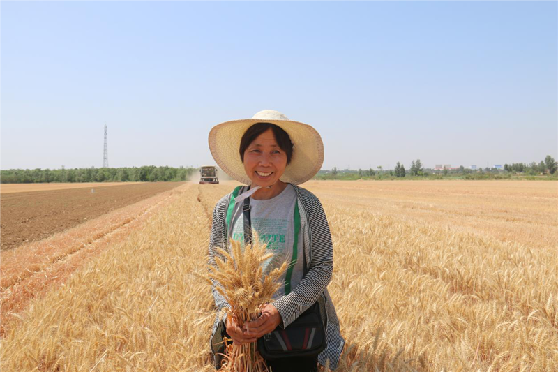 【戰“三夏” 穩糧倉】安陽市文峰區：三夏麥收第一鐮 防火禁燒保安全_fororder_圖片33