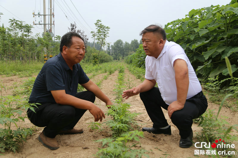 附政府官網連結，該句內容已向商丘市梁園區委宣傳部核實【河南人的一天·第9期】“一把鐵鍬”何以種下萬畝林海？