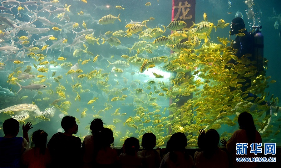 河南洛陽：海洋館裏學知識