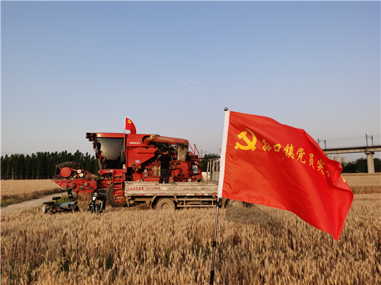 濮陽市臺前縣孫口鎮：麥浪涌動黨旗揚 將軍渡畔糧滿倉_fororder_圖片2