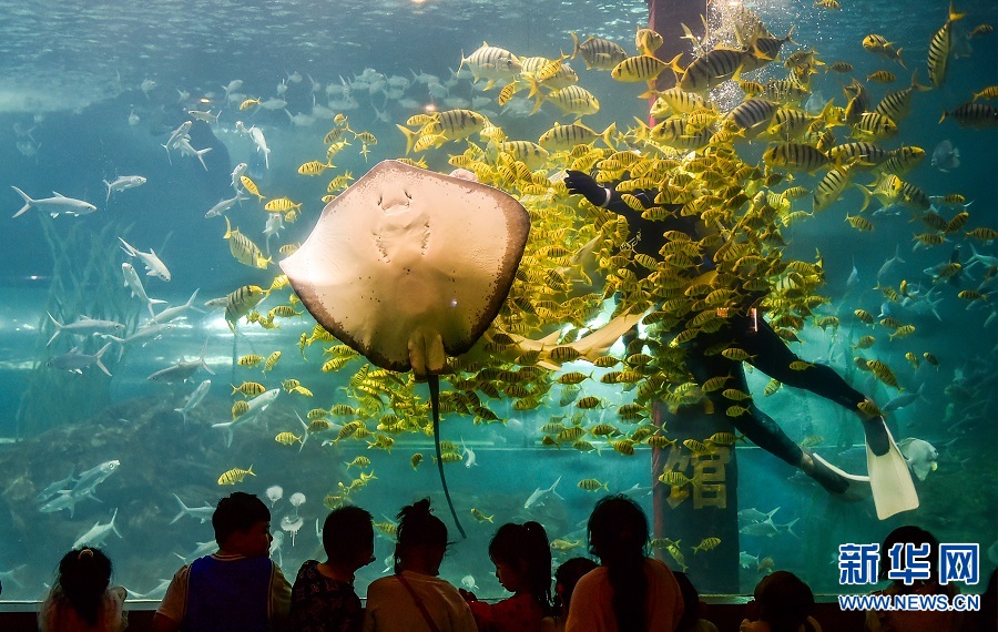 河南洛陽：海洋館裏學知識