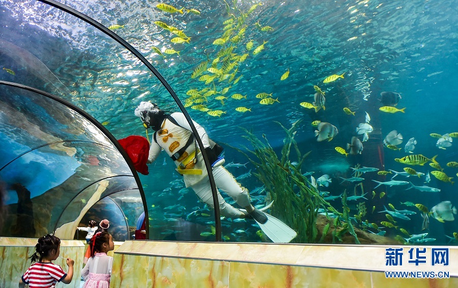 河南洛陽：海洋館裏學知識