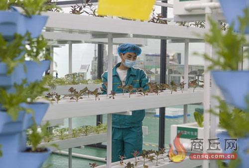 河南商丘：堅持“項目為王” 致力産業倍增