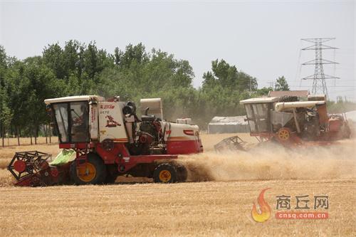 商丘市小麥機收大戰拉開序幕 確保夏糧顆粒歸倉