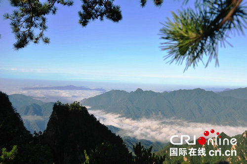 【河南原創】河南西峽大力發展山地避暑旅遊 助力鄉村振興