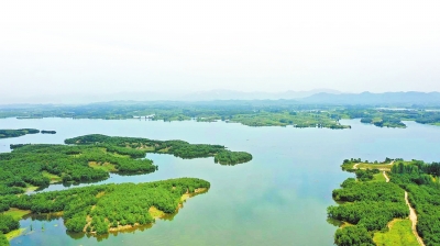 河南：法治守護濕地之美 推動濕地保護工作落到實處