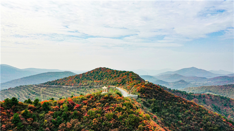 品味仰韶 陶醉澠池_fororder_百里韶山紅葉 古俊鋒 攝