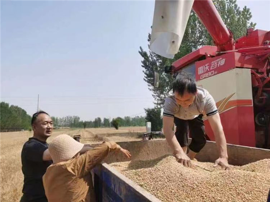 濮陽市臺前縣清水河鄉駐村幹部化身“三員” 助力打贏“三夏”生産大勝仗_fororder_圖片15