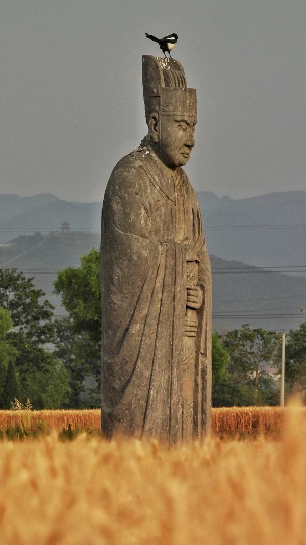 佇立千年 宋陵石像化身“麥田守望者”