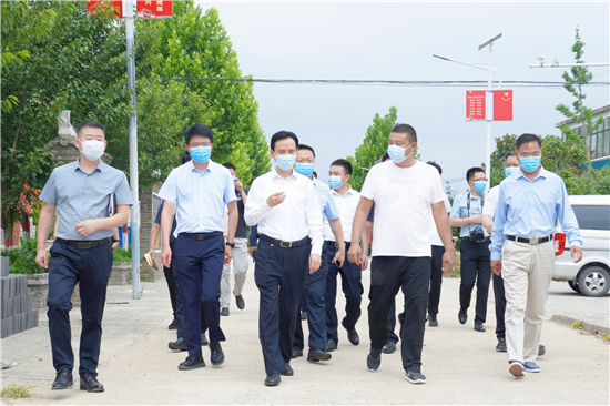 信陽市息縣縣委書記汪明君調研督導鄉村振興示範區建設工作_fororder_圖片12