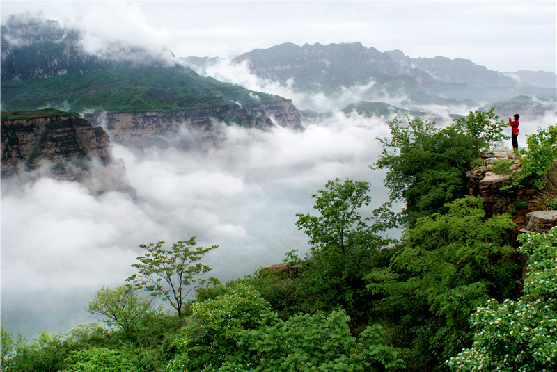 安陽林州：太行雲海 唯美風景_fororder_17b7e71126d5c1a7a8d8f96c2b86b64