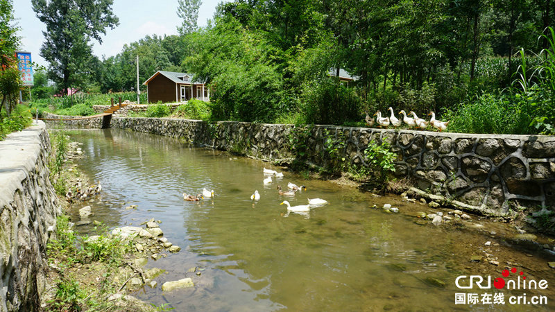 【A】【豫見國際·61期】河南魯山：“自助式農家院”讓黃溝村邁上鄉村振興“快車道”