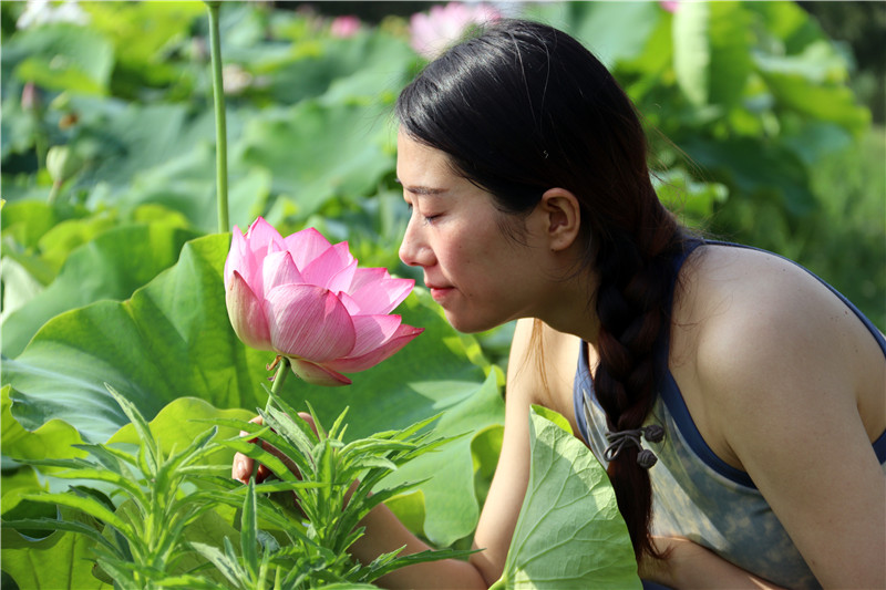 南陽鎮平：荷花開 遊客來_fororder_人面荷花相映紅.JPG