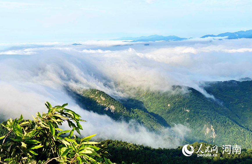 信陽雞公山：雨後雲海美如畫