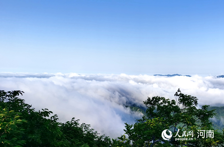 信陽雞公山：雨後雲海美如畫