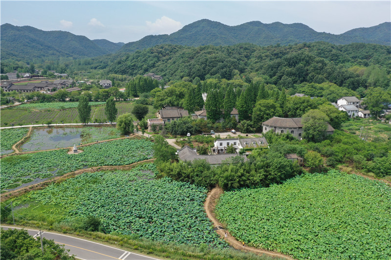 信陽平橋：郝堂荷花開 帶熱鄉村遊_fororder_郝堂百畝荷塘全景  郝光攝