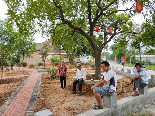 【河南供稿】河南郟縣白廟鄉寧莊村建起小遊園 讓鄉村風景靚起來