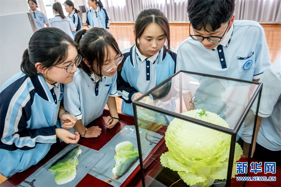 河南安陽：傳統文化進校園 感受非遺魅力