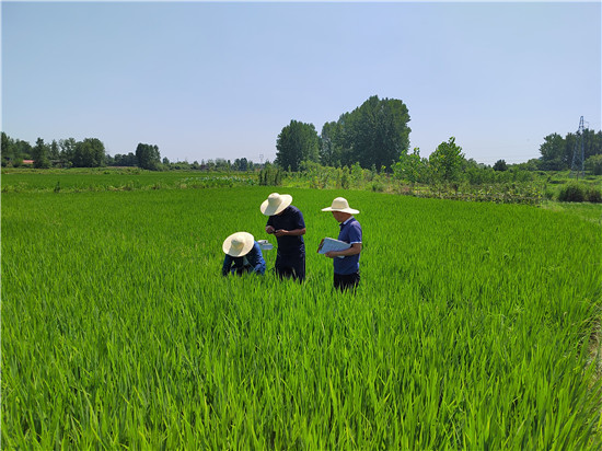 信陽市平橋區農業農村局多舉措應對持續高溫 確保農業正常生産_fororder_微信圖片_20220719103640