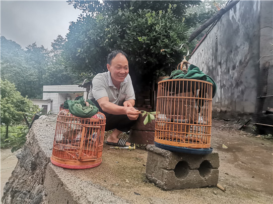 【B】平頂山市魯山縣脫貧戶李福順：養花又遛鳥 生活樂陶陶