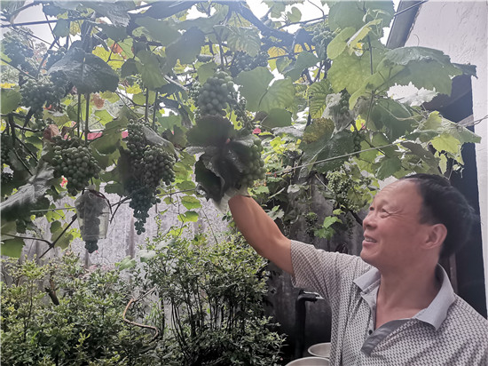 【B】平頂山市魯山縣脫貧戶李福順：養花又遛鳥 生活樂陶陶