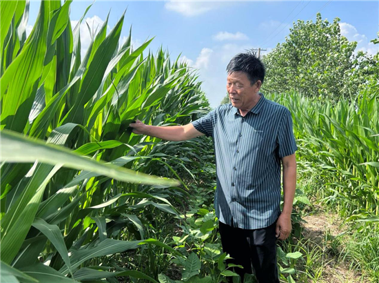 許昌市建安區退役軍人趙保獻：積極發展現代農業 帶領鄉親共同致富_fororder_圖片12