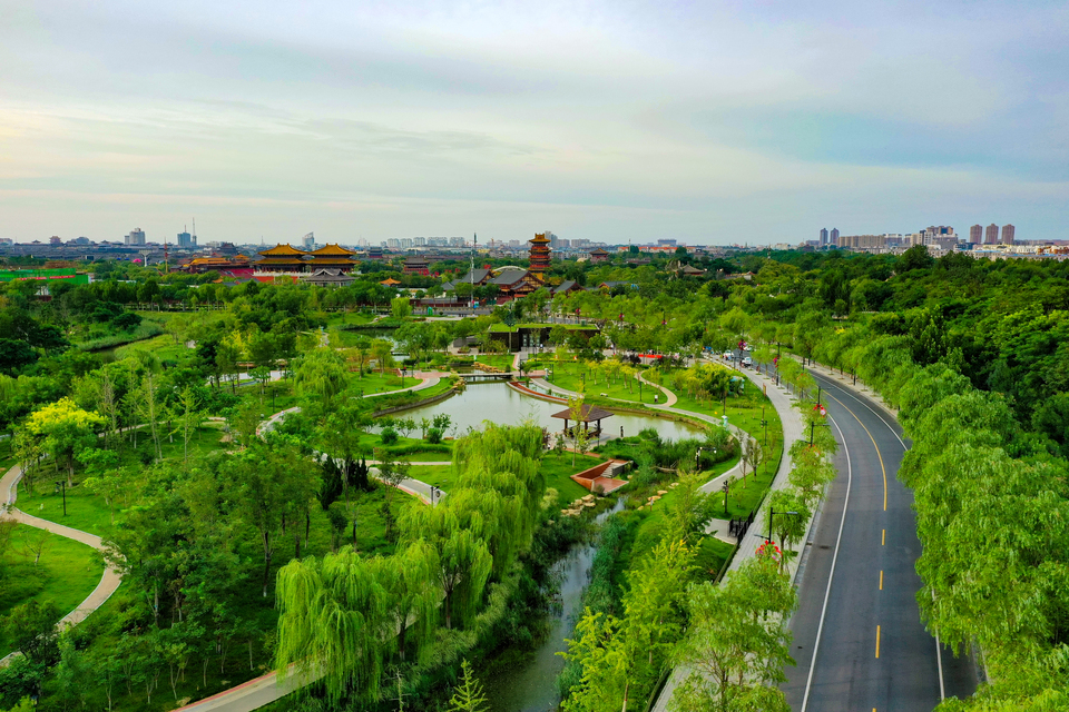 河南開封：西北湖濕地公園滿目蒼翠