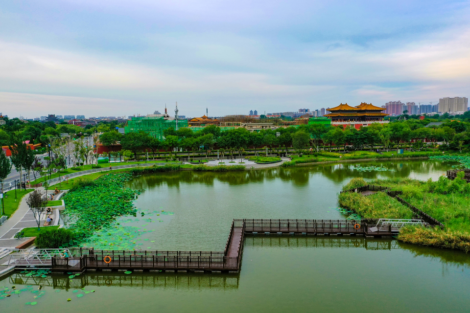 河南開封：西北湖濕地公園滿目蒼翠