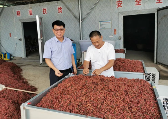 信陽市平橋區：金融活水激活鄉村“美麗經濟”