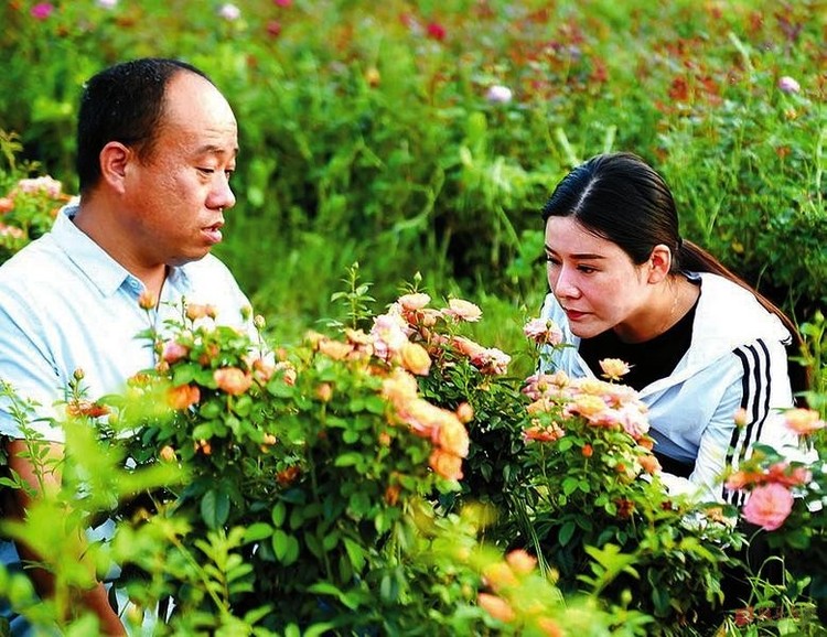 【河南在線】河南新蔡：鮮花綻放小康路