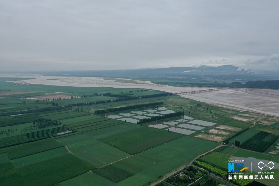 【城市遠洋】河南溫縣：黃河灘區雨後展新顏